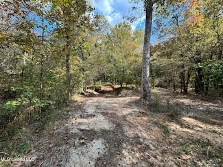 0 Shillings Hill Rd Unit 4096732, Roxie, MS 39661