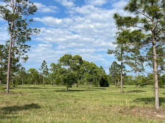 16.12 Acre Bethcar Church Rd, Wagener, SC 29164