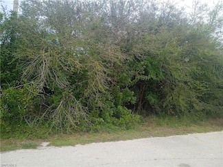 3512 26th St SW, Lehigh Acres, FL 33976