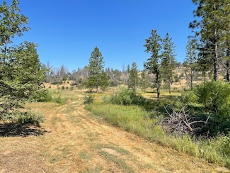 34344 Shaver Springs Rd, Auberry, CA 93602