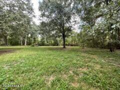 Tbd Bayou Place, Maurice, LA 70555