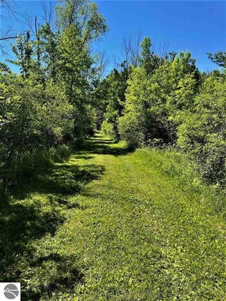V/L Conrad Rd, Standish, MI 48658