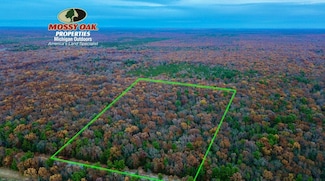 V L Camp Rd, Free Soil, MI 49411