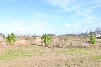7.97 ac Boyette Rd, Lakeland, GA