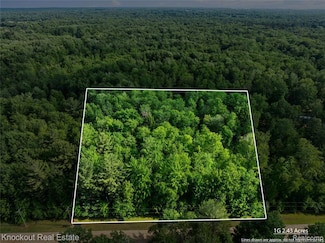 #0015 V L Birch Ln, Vassar, MI 48768