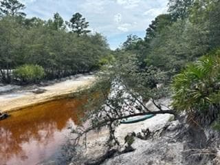 0000 St Mary's River Bluff Ltd, Saint George, GA 31562
