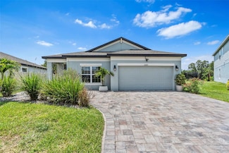 30801 Parrot Reef Ct, Wesley Chapel, FL 33545