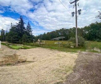 8425 S Us 31 Hwy Unit Parcel B, Alanson, MI 49706