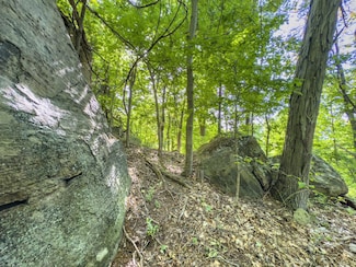 81 Township Rd 158, Chesapeake, OH 45619
