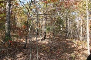 0 Highway 412 Unit 128663, Alpena, AR 72611