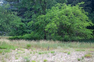 1601 16th Ct, Arkdale, WI 54613