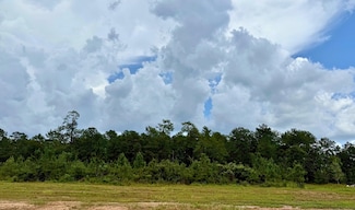 13160 Blackberry Dr, Lumberton, TX 77657