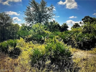 7644 14th Terrace, Fort Denaud, FL 33935