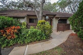 4040 Corkwood Ct, Palm Harbor, FL 34684