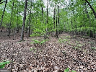 387 Windflower Dr, Big Canoe, GA 30143