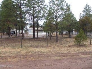 2868 Moose Trail, Heber-Overgaard, AZ 85928