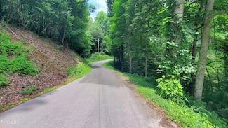 Tbd Highway 19 E, Roan Mountain, TN 37687