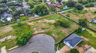 917 Trinity St, Alamo, TX 78516