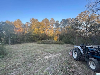 2948 Wolf Pond Rd Unit 6.3, Talladega, AL 35160