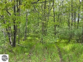 1004 Duquesa Dr Unit 444, Weidman, MI 48893