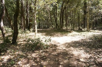 800 Suzy Q Rd, Burnt Ranch, CA 95527