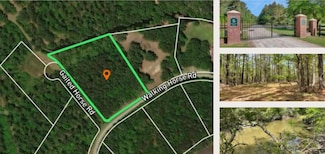 4831 Walking Horse Rd, Meggett, SC 29449