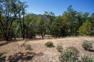 7451 Rush Creek Rd, Lewiston, CA 96052