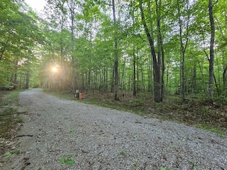 3 Savage Highland Dr, Coalmont, TN 37313