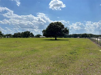 0 Hwy 17 Unit MFRC7492142, Arcadia, FL 34266