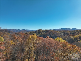 890 Panther Branch Rd, Hot Springs, NC 28743