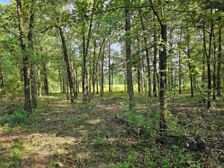170 Stout Rd, Gillham, AR 71841