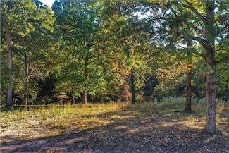 Lot 10 Oak Leaf Dr W, Harrison, AR 72601