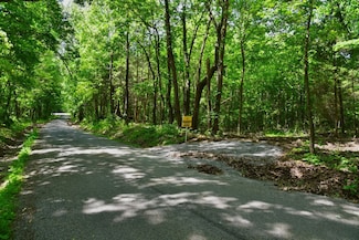 Robinson Hill Rd Unit LotWP002, Stonefort, IL 62987