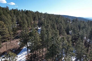 1000 Skyline Dr, Bayfield, CO 81122