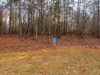 0 Doll Mountain Rd Unit 411395, Ellijay, GA 30540