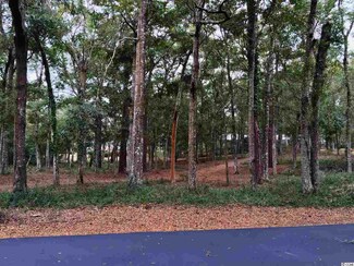 Lot 225 Live Oak Ln, Briarcliffe Acres, SC 29572