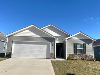 1042 Persimmon Hollow, Greeneville, TN 37745