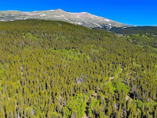 715 Lewsader Rd, Alma, CO 80420