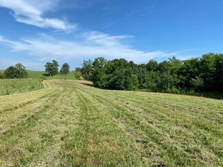 1908 W Froedge Dubree Rd, Summer Shade, KY