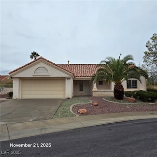 3117 Birch Grove Ct, Las Vegas, NV 89134