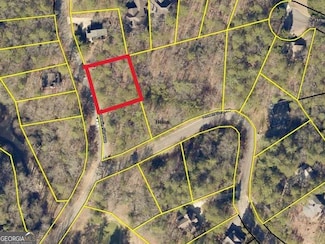 0 Zeppelin Strasse Unit 10556205, Helen, GA 30545