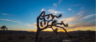 0 Fairmount Dr, Joshua Tree, CA 92252