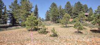 185 Tonto Trail, Duck Creek Village, UT 84762