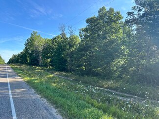 Lot 2 County Road 489 Unit 10.35 Acres, Lewiston, MI 49756