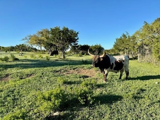 274 Sweet Blessings Way, Dripping Springs, TX 78620