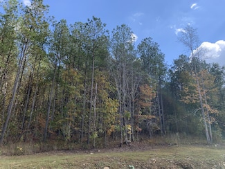 4910 Raulston Falls Rd, Jasper, TN 37347