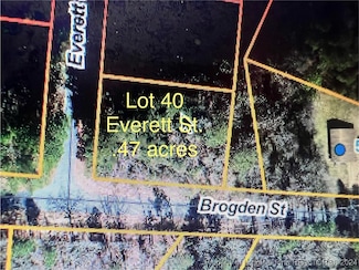 0 Everett Rd, Mount Olive, NC 28365