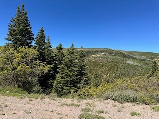 4280 S Deep Canyon Rd, Summit, UT 84772