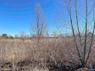 Lot 13 County Road 487, Moulton, AL 35650