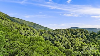 158 Sugar Cove Rd, Weaverville, NC 28787